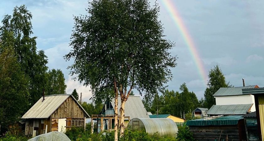С 14 апреля на теплицы устанавливается запрет: приняли решение для всех россиян, у кого есть дача или участок - новые штрафы