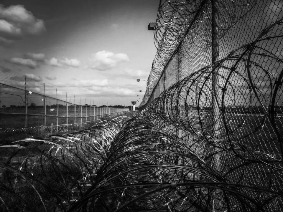 Награда за хорошее поведение: самым опасным преступникам Великобритании разрешат заводить животных