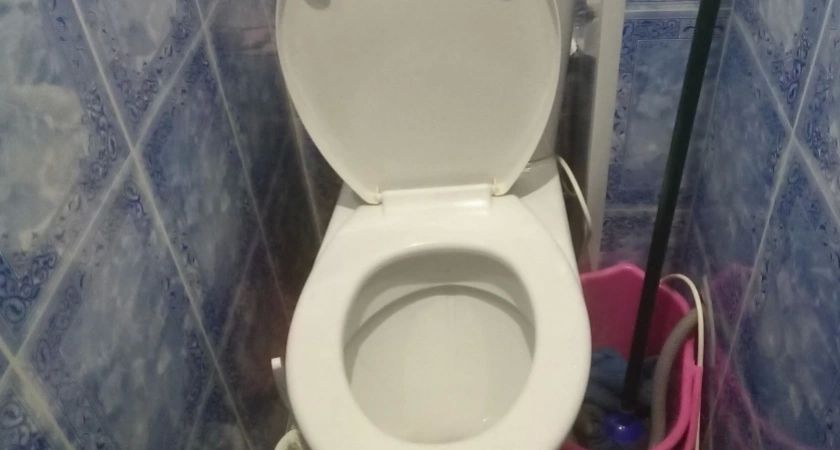 Неожиданный, но действенный лайфхак: насыпьте соль в унитаз - результат вас поразит