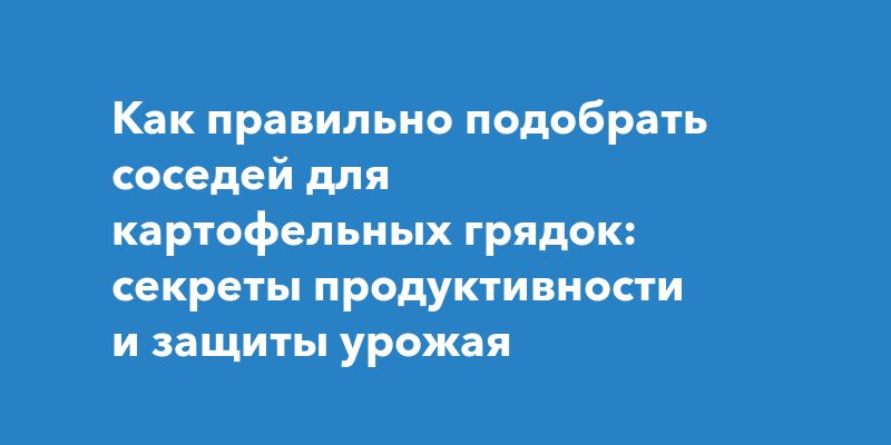 Как правильно подобрать соседей для картофельных грядок: секреты продуктивности и защиты урожая