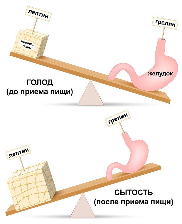  :    sabot  