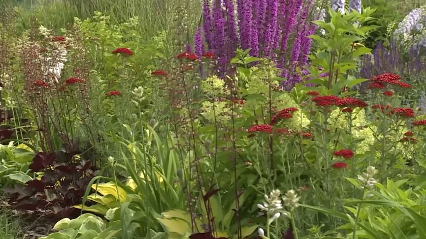 Секреты осенней посадки: семь неприхотливых цветов для уютного сада