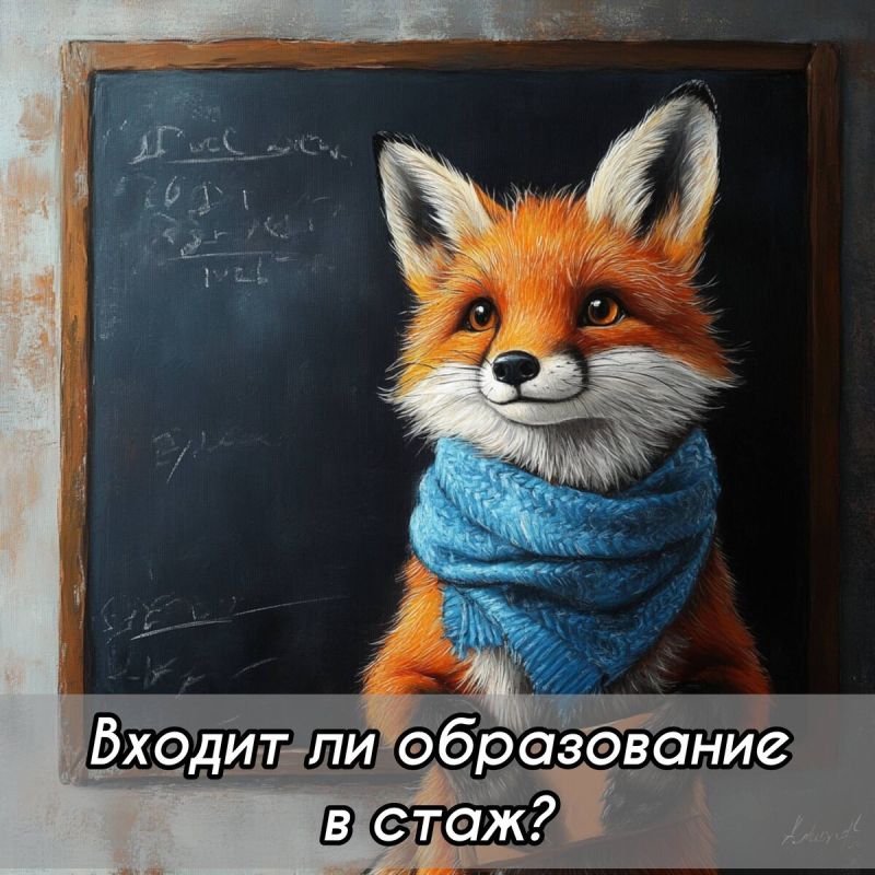 Образование и стаж: инициатива депутатов остается без поддержки