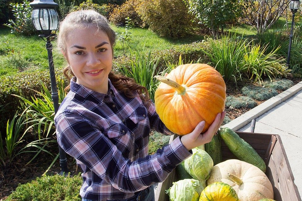 �����: ���������� powerhouse ��� ������ ��������