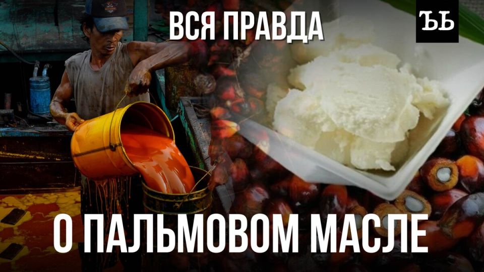 ��������� �����: ������������ ����� � ������