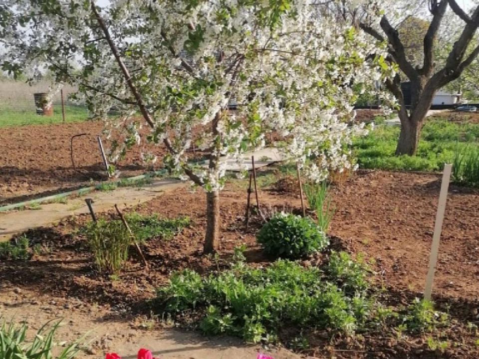 ������� ������ � ���������: ������������ ������ ��� ������ ����