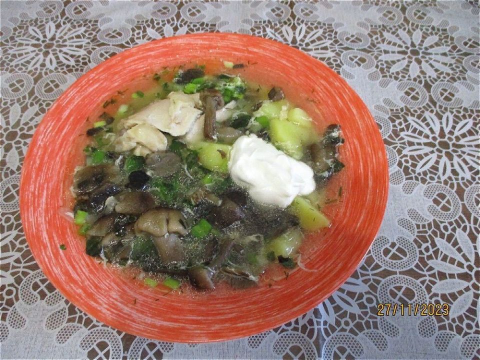 ����������� ������� ���: ������� ������ �� �������� ����