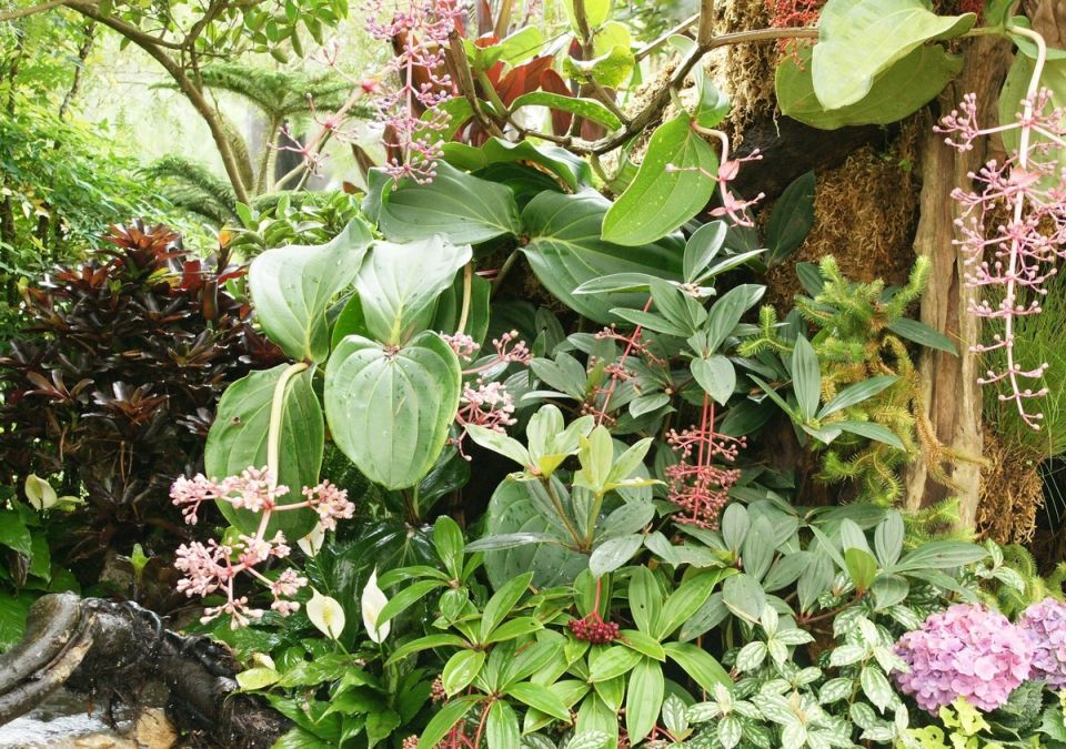 ����� �������� � �����������: ��� ��������� ��������� ��������