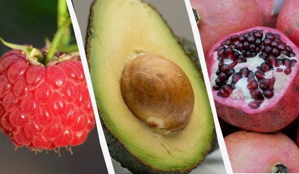 ���� �������, ������� ������ ���� ��������������� ������� �������