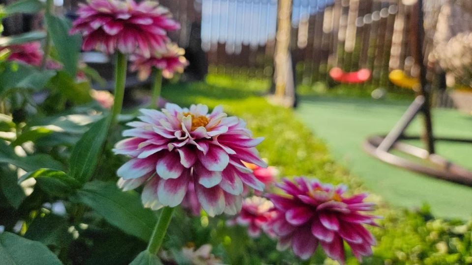 ������� ���������� ������: 15 ������, ������� �������� �������