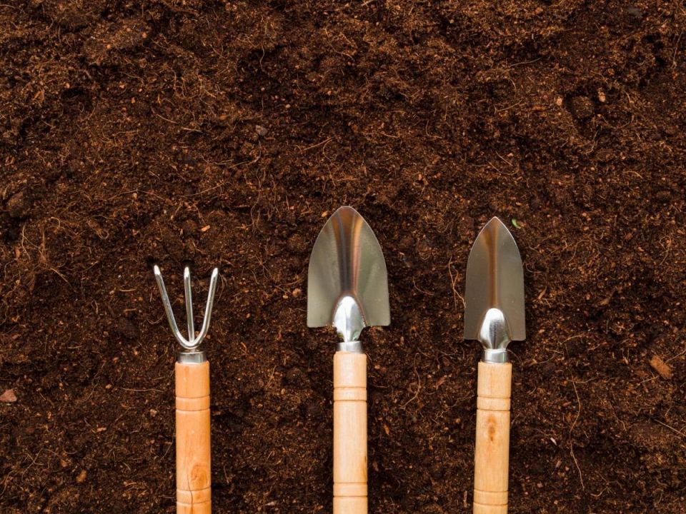 ��� ������� � �������� ���������� ����� � ����������