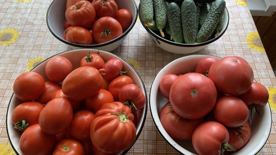 ��������� ������������� ������: ��� � ������ � ���������� ������������������