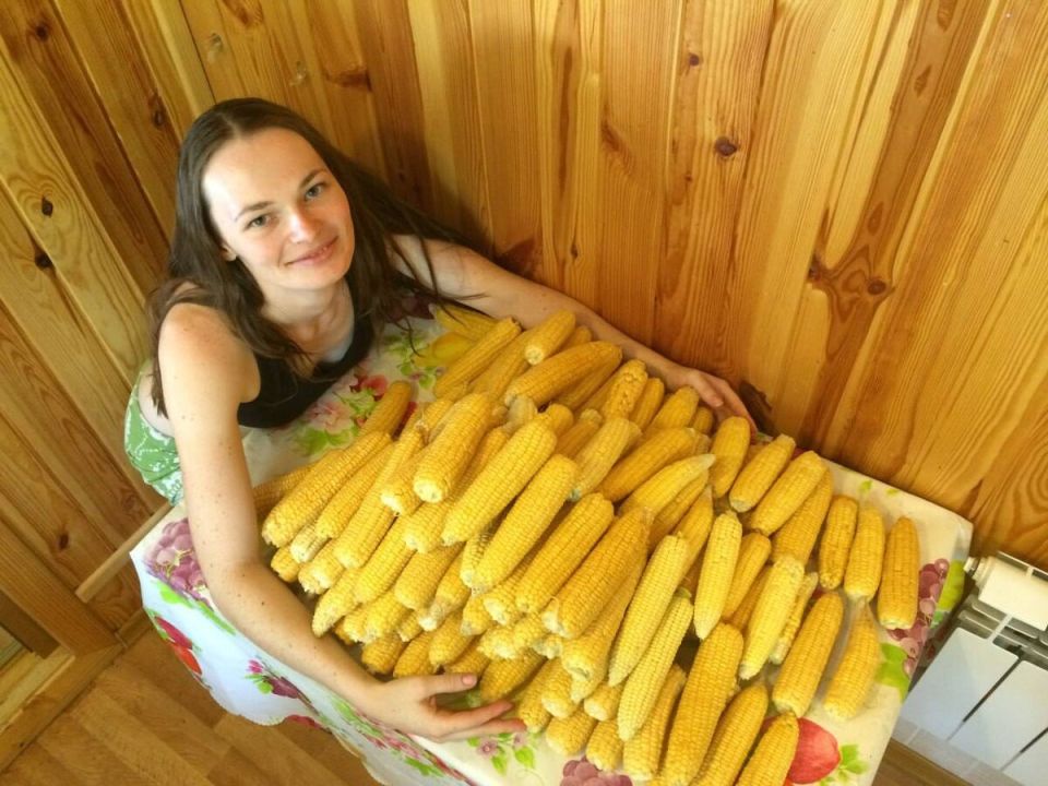 ������ ������ � ������ ������: ������� ��������� �����������