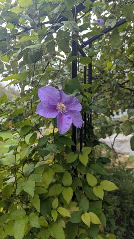 ������������ ��������, ������� ������� ������� ������ ����