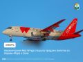  Red Wings     -  