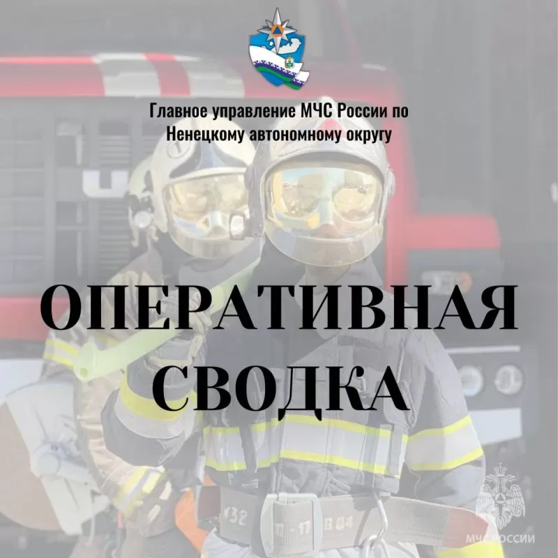 #ОПЕРАТИВНАЯСВОДКАНАО. За прошедшие сутки на территории Ненецкого автономного округа пожаров не зарегистрировано