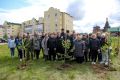 В Нарьян-Маре высадили деревья в память о погибших ветеранах СВО