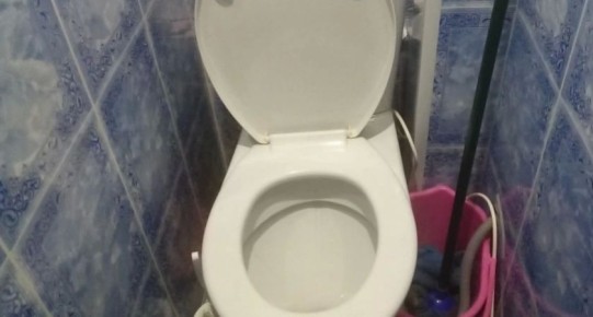 ,   :     -   