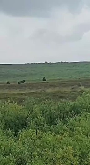 , !.          ,   73  -     