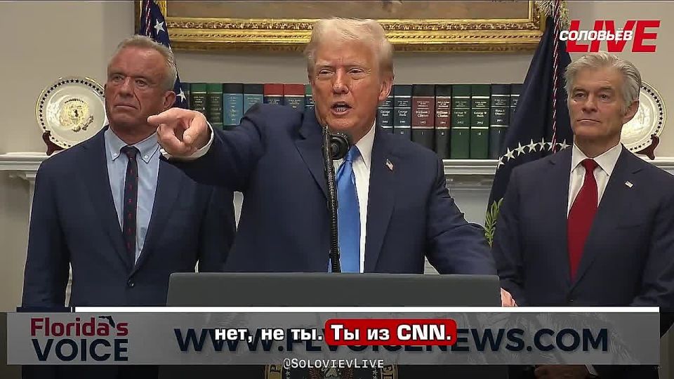  -  . ,       ,      CNN