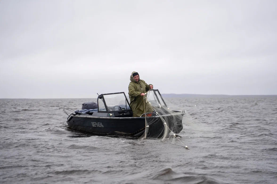 В НАО создают новые рыболовные участки на Печоре для развития любительского рыболовства