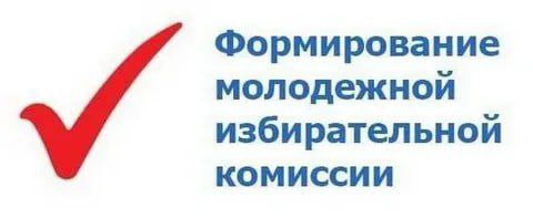 С 31 октября по 1 декабря 2025 года Избирком НАО принимает предложения в состав Молодежной избирательной комиссии