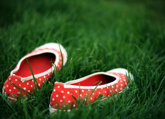 Как снизить частоту стрижки газона и спасти время