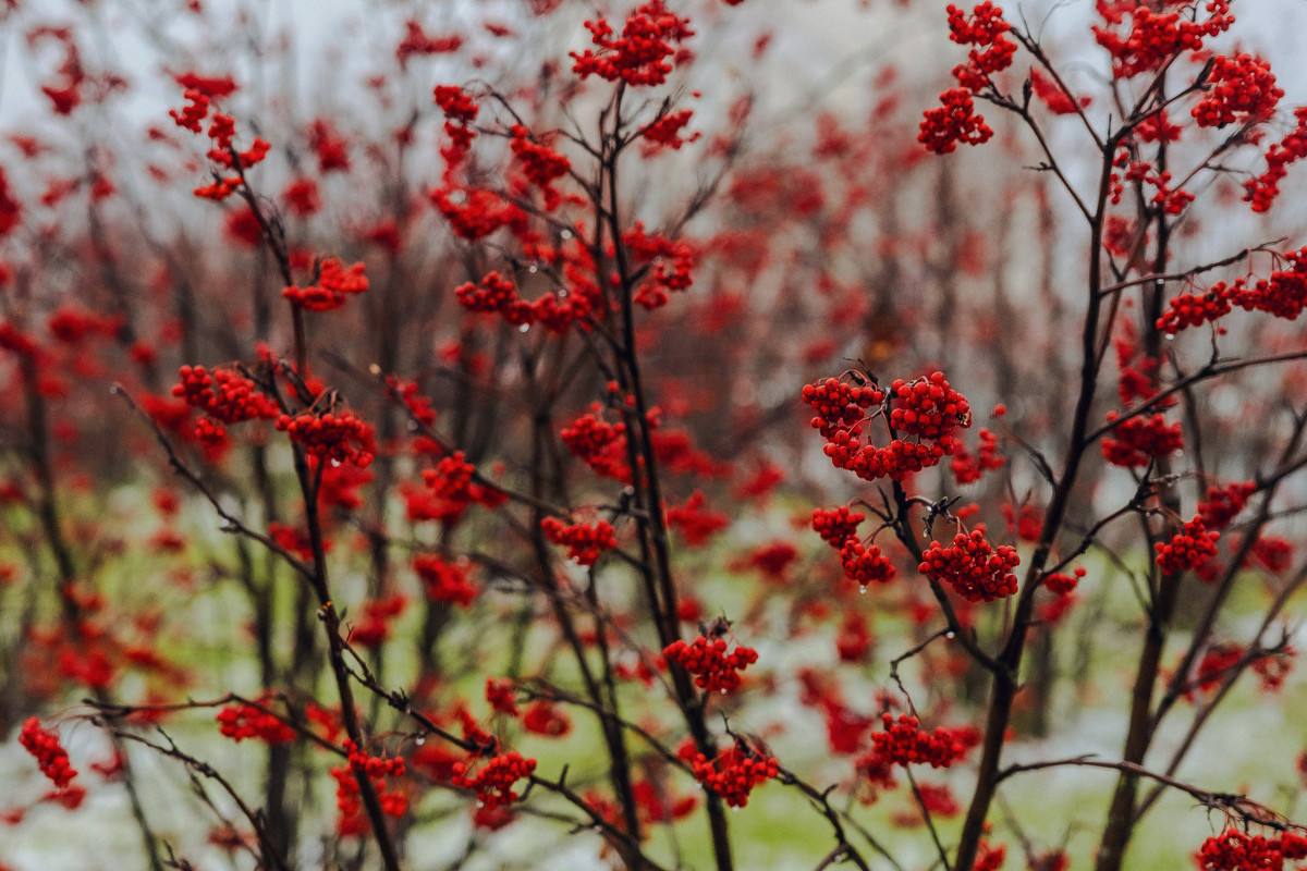 Какие федеральные законы вступят в силу в ноябре?