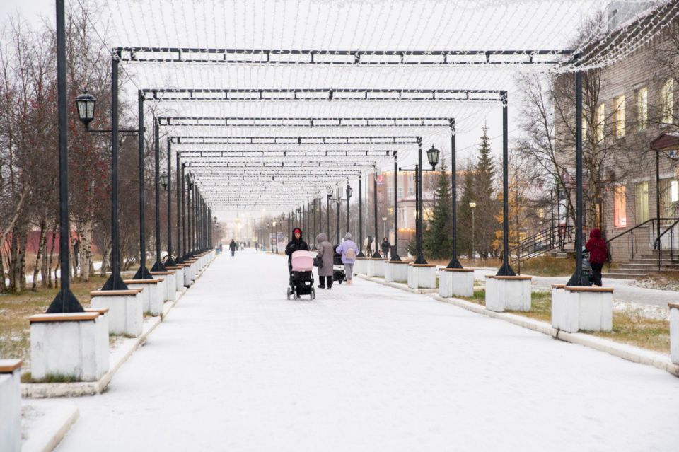 В НАО продолжается социологический опрос о потребностях жителей в сфере занятости, здравоохранения и социальной поддержки