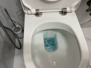 Больше никакого неприятного запаха: 2 копеечных средства для чистки унитаза — в туалете будет всегда свежо