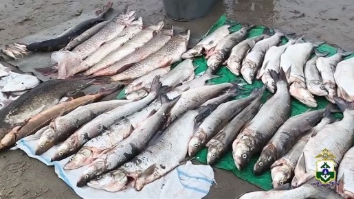 Два браконьера задержаны полицией за незаконный вылов рыбы в акватории заповедника «Ненецкий»