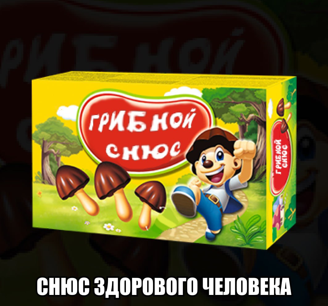 Зумеры городов-миллионников подсели на опасный грибной снюс — это рассасывалка за 2000 рублей, которая обещает энергию и выносливость