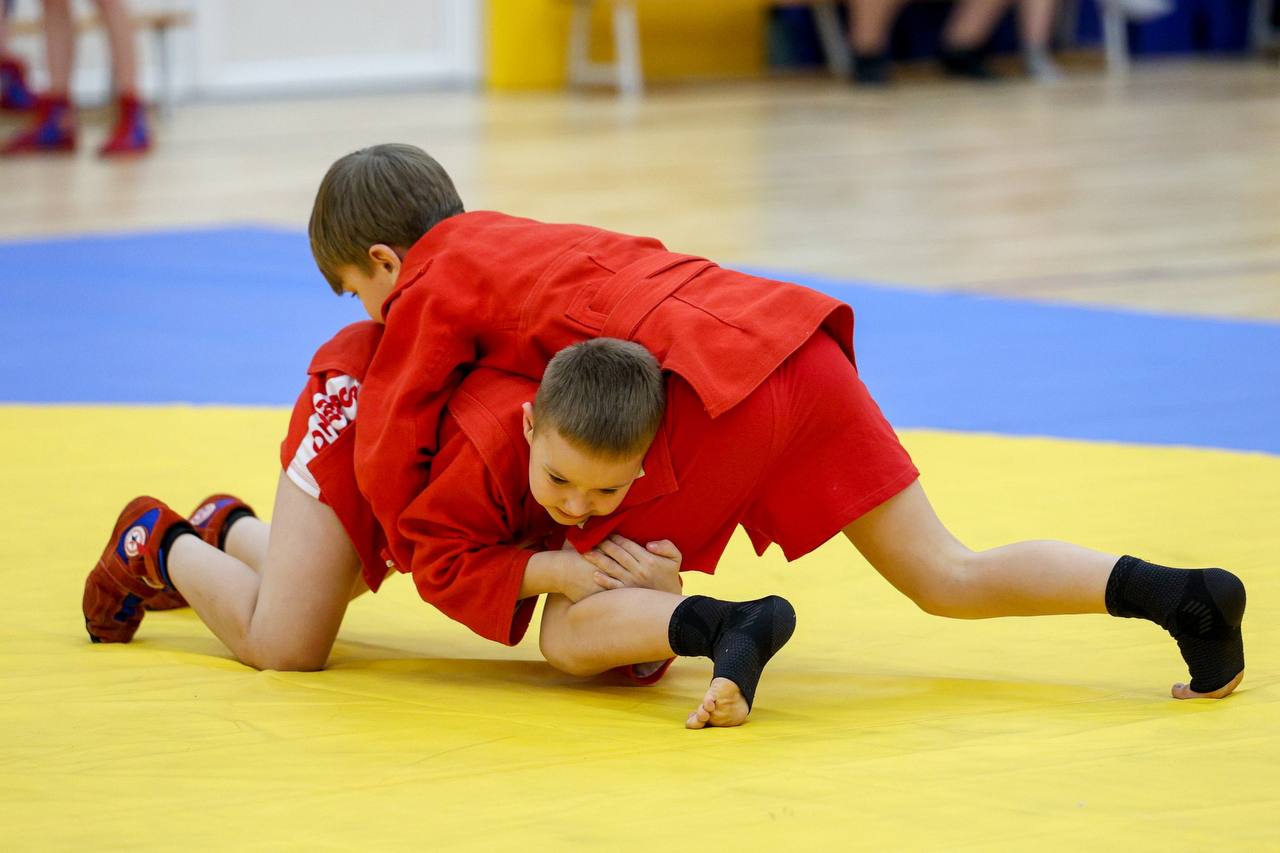 В региональном турнире по самбо приняли участие более 90 спортсменов В региональном турнире по самбо приняли участие более 90 спортсменов