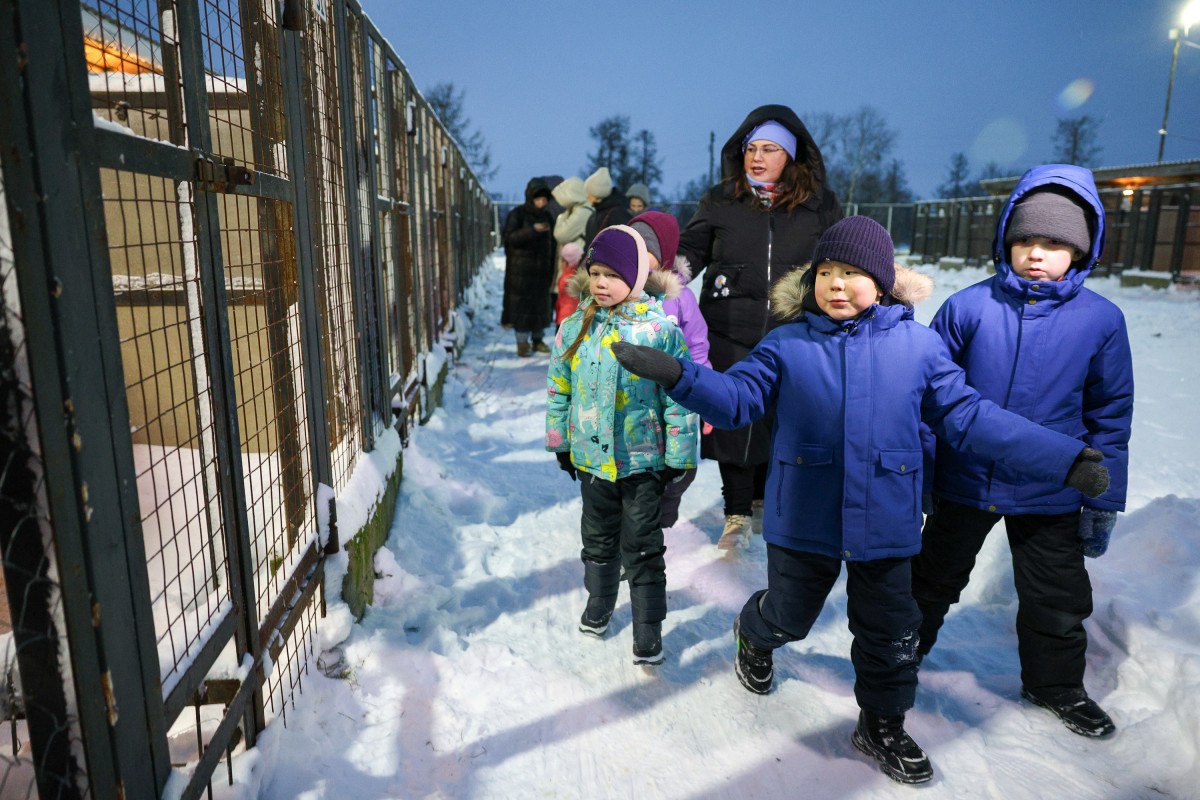 «Мы в ответе за тех, кого приручили» «Мы в ответе за тех, кого приручили»
