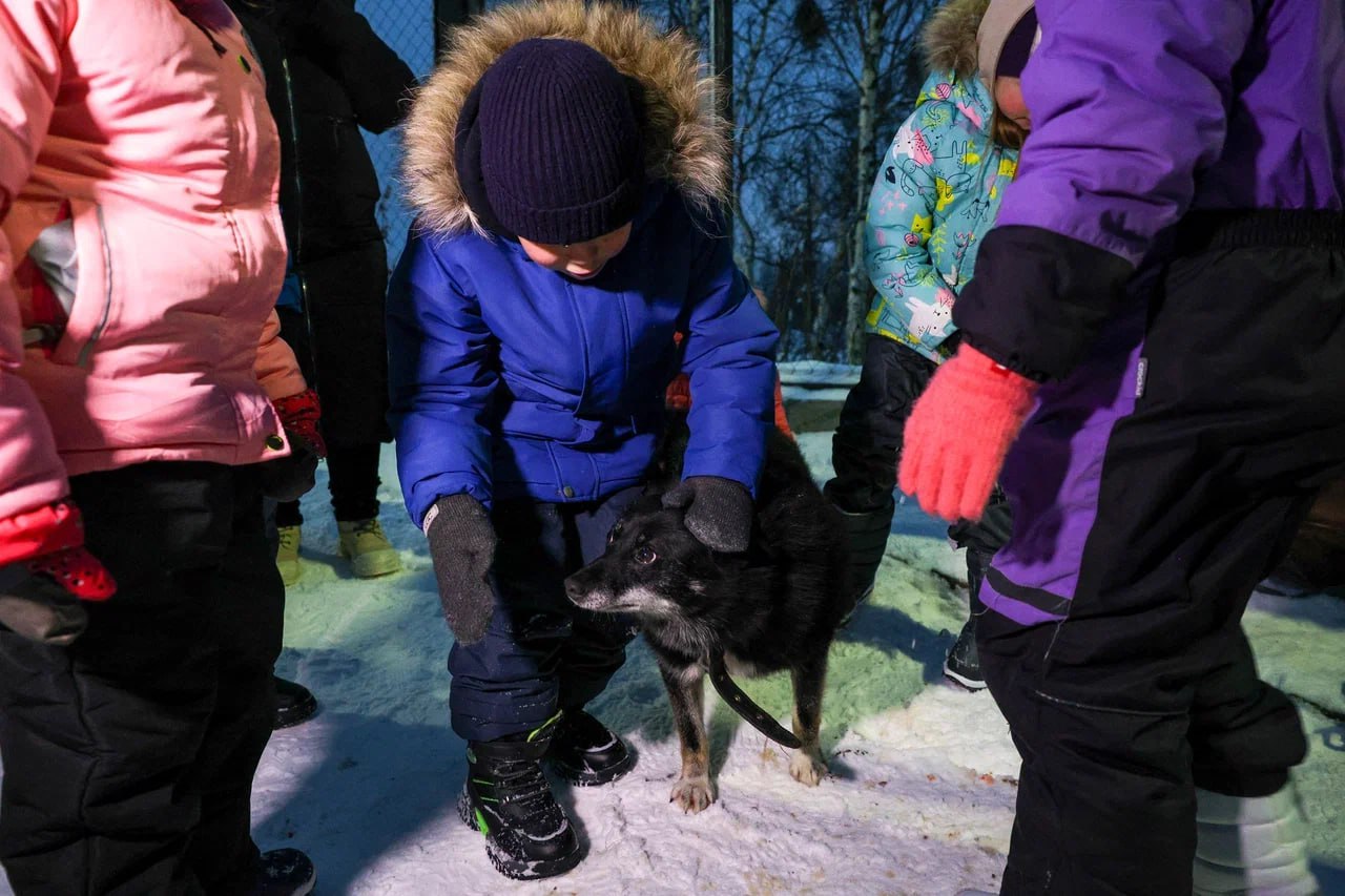 «Мы в ответе за тех, кого приручили» «Мы в ответе за тех, кого приручили»