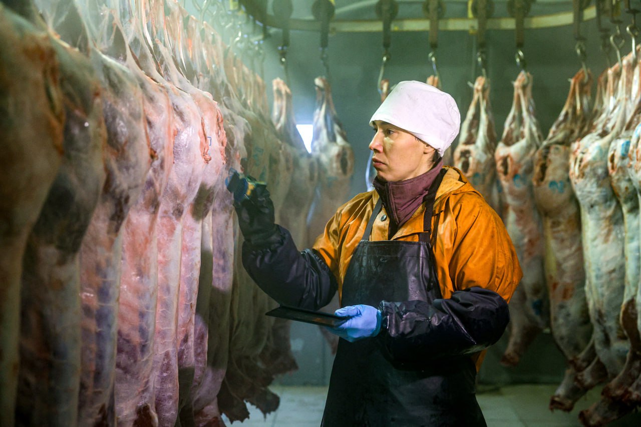 В НАО убойная кампания проходит под контролем ветеринарных специалистов В НАО убойная кампания проходит под контролем ветеринарных специалистов