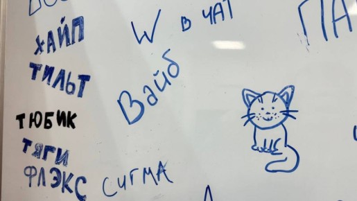 Пупупу, ред-флаг или сигма? Портал «Грамота.ру» объявил претендентов на звание слова 2025 года