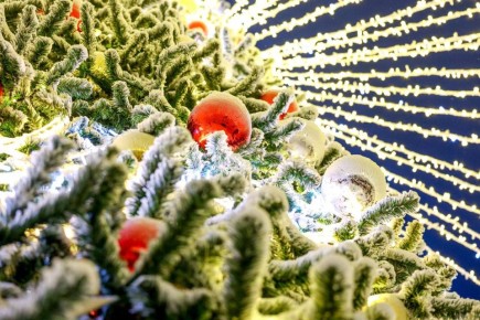 На главной ёлке округа зажглись огни