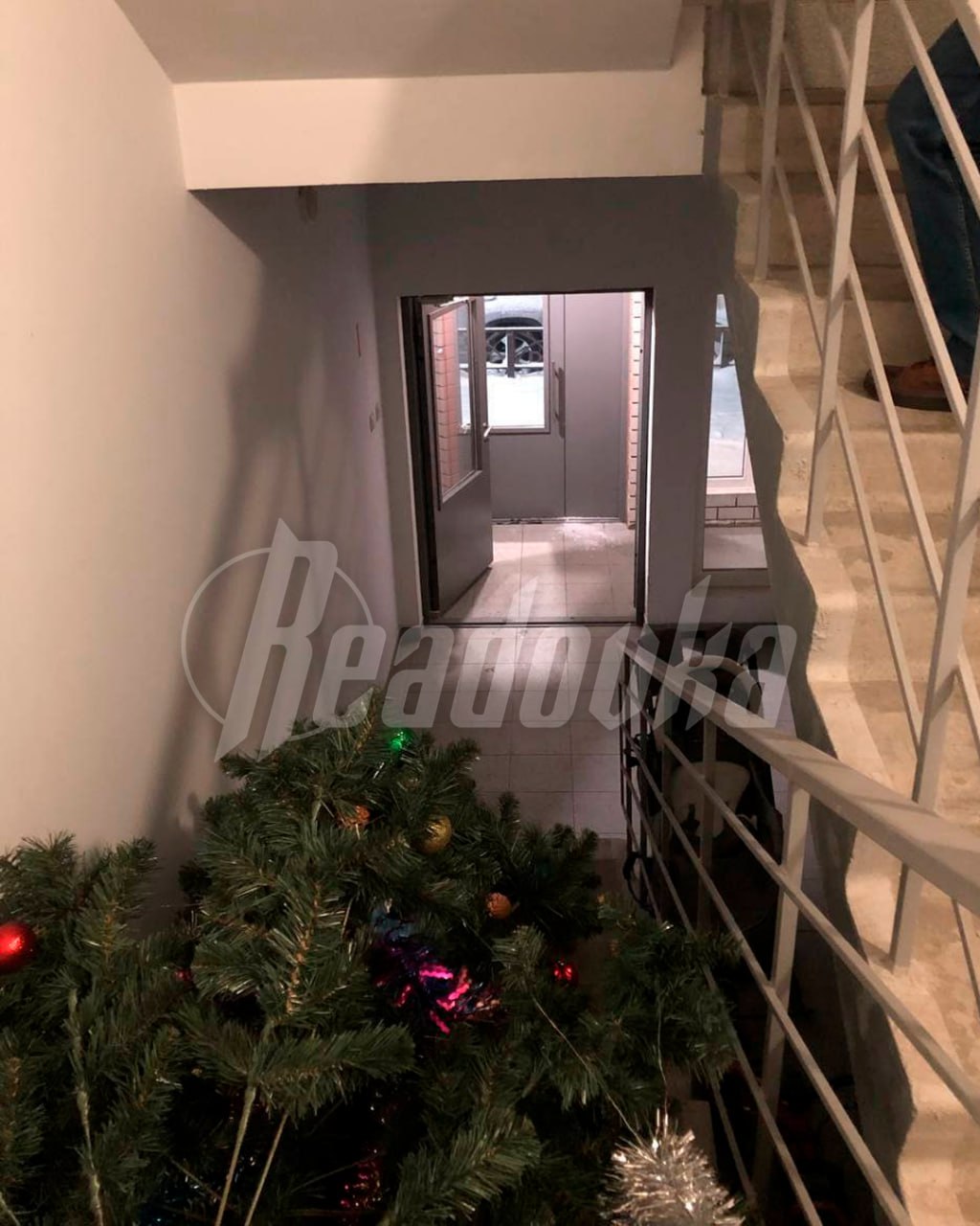 В Барнауле парочка захотела стащить дворовую елку, но не рассчитала силы — вечнозеленую оставили ночевать в подъезде В Барнауле парочка захотела стащить дворовую елку, но не рассчитала силы — вечнозеленую оставили ночевать в подъезде