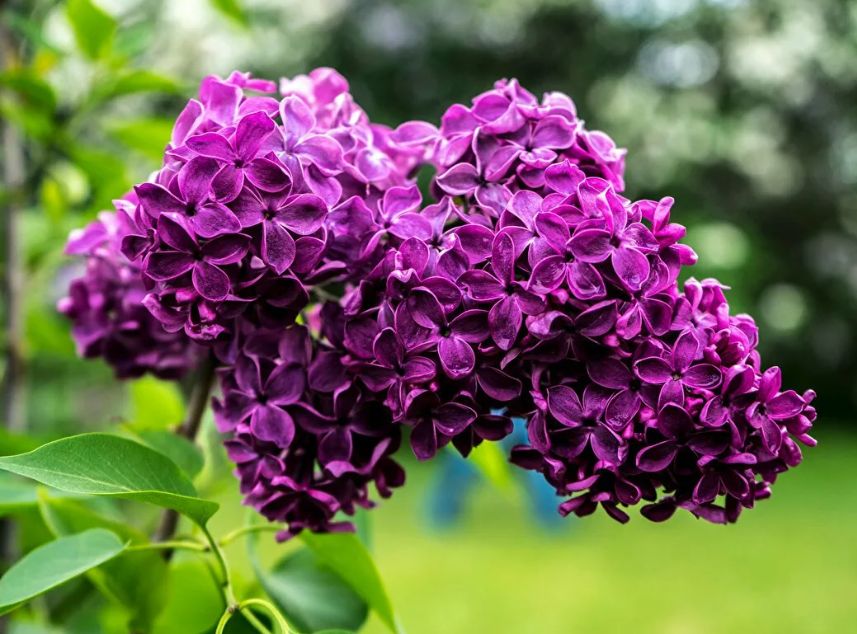 ��� ��������� �������� ������������ ���������� ������: ������ �� �����