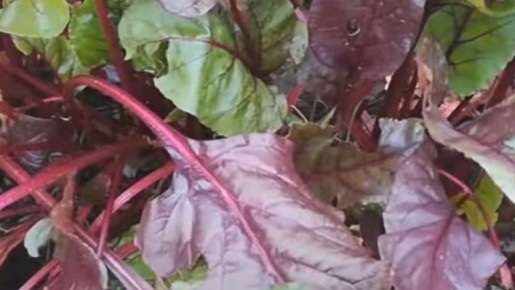 �������� � ����������� ������: ���������� ������ � ������� ��������� ������