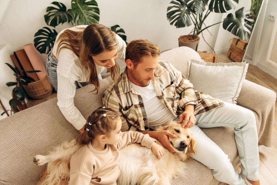 ��������� ���������� ������ �� �������: ���������� ����������� ��� ����� � ����� ������