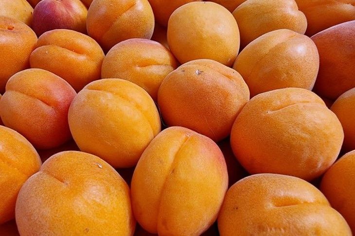 ��� ������ �������� � �� ������� �������: �� ���� ���� �� ����� ������ � ������