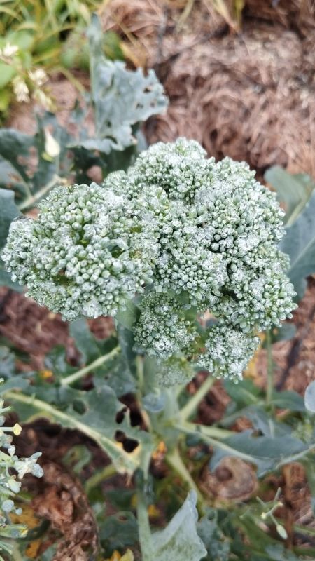 ������� �����: ������� ��� ������� ������ ��������� ������