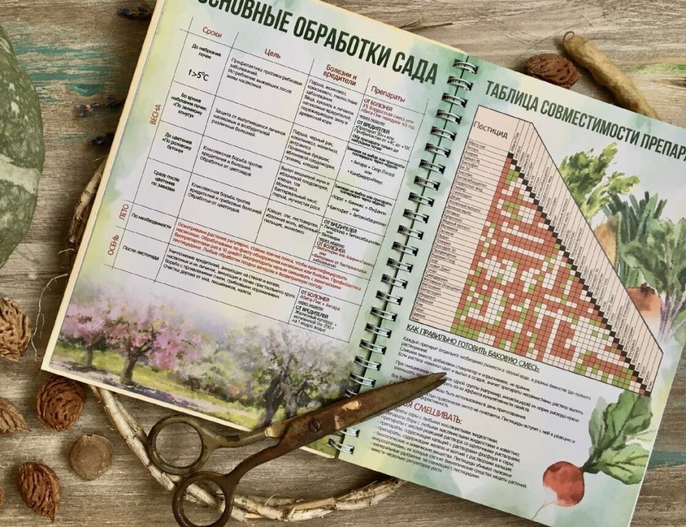 Забудьте о зимних проблемах: пять шагов к здоровым растениям этой осенью