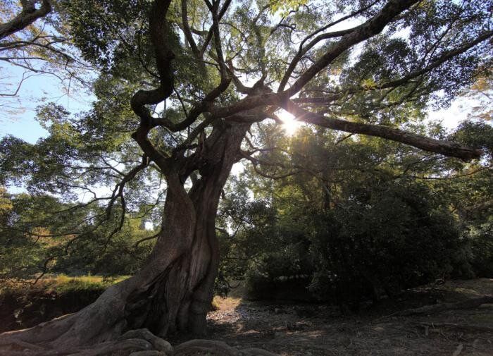 ����� ���������� ��������: �� ����������� ���������� �� ������ ��������� �������