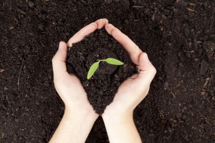 Как улучшить плодородие почвы: советы, которые сработают