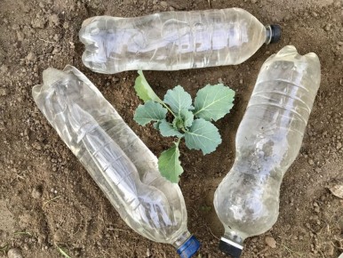 ��� ����������� ������� ����� ������ ��� ��� �� ����������� �����