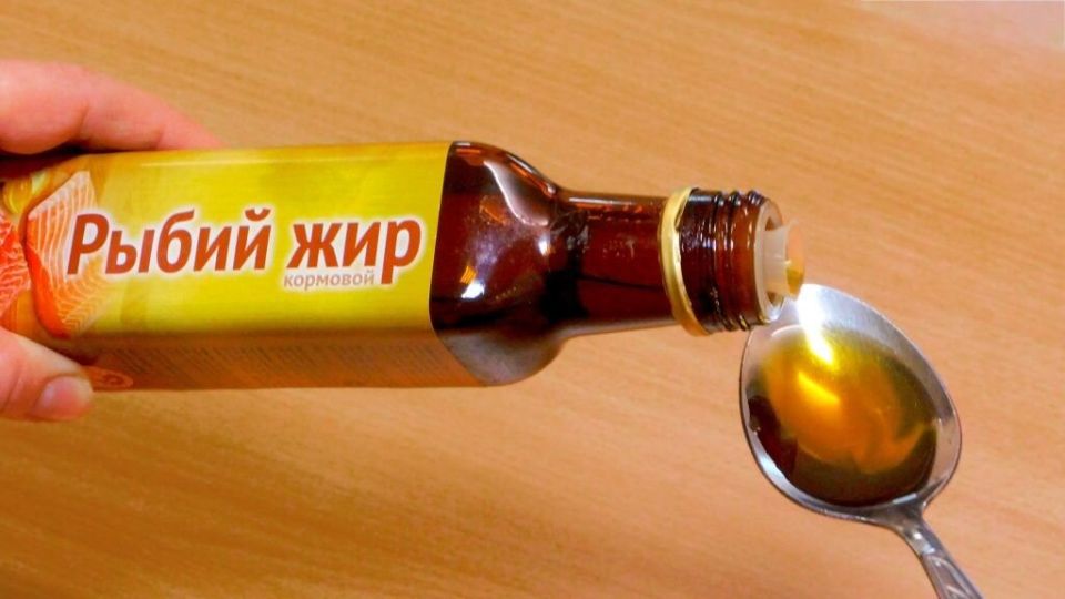 Польза рыбьего жира для кур: как и когда добавлять в рацион