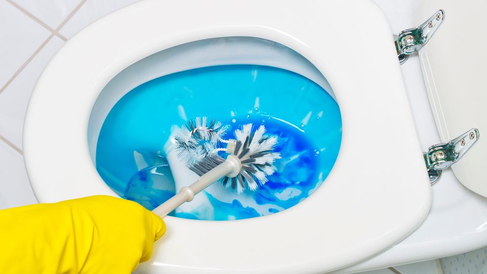 Закончилась «?химия» — не беда: всего два дешевых продукта заставят унитаз сиять